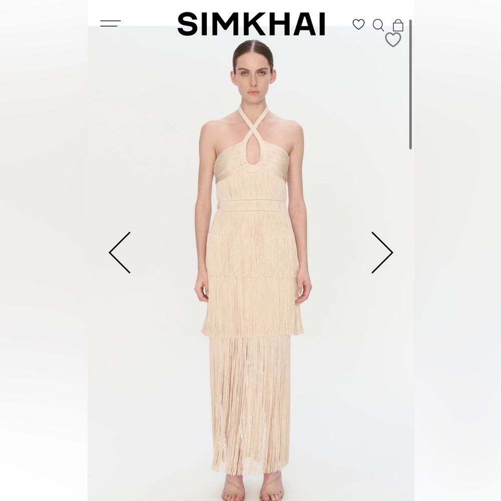 SIMKHAI BALDWIN DRESS (WORN ONCE) 10